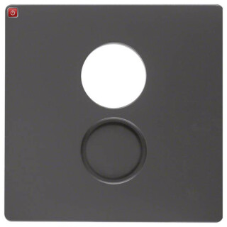 BER11966086 / Zentralstück f Lsp-Std 1F Q1 anth / EAN 4011334380023