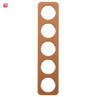 BER10152369 / Rahmen 5fach R.1 Leder braun/polarweiß / EAN 4011334413042