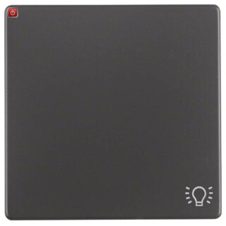 BER16206046 / Wippe mit Aufdr Symbol Licht Q.1/Q.3 ant / EAN 4011334379751