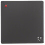BER16206046 / Wippe mit Aufdr Symbol Licht Q.1/Q.3 ant / EAN 4011334379751