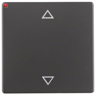 BER16206076 / Wippe mit Aufdr Symbol Pfeile Q.1/Q3 ant / EAN 4011334379874