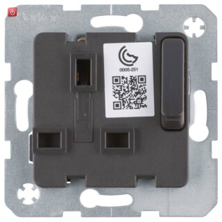 BER53420216 / Steckdose British St.13A erh BS absch an / EAN 4011334405078