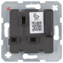 BER53420216 / Steckdose British St.13A erh BS absch an / EAN 4011334405078