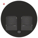 BER11812045 / Zentralstück m 2 Staubs R.1/R.3...