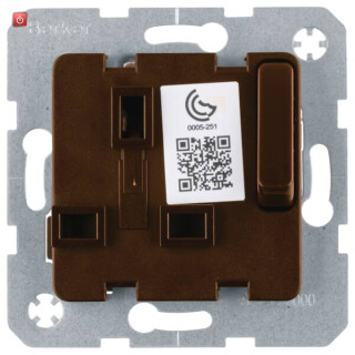 BER53420211 / Steckdose British St.13A erh BS absch br / EAN 4011334405054