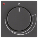 BER11376076 / Zentralstück m Knopf f DzStell Q.1/3...