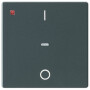 BER80962226 / Abdeck. Tast.-M. 1f. I/O Q.x anth / EAN 4011334482307