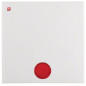 BER16298999 / Wippe mit Befestst u Linse S.1 IP44 pw g /...