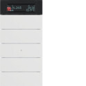 BER75665599 / Tastsensor 5f m Te.reg Disp B.IQ pw matt /...