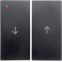 BER16251606 / Wippen mit Aufdruck Symbol...