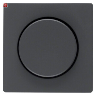 BER11376086 / Zentralstück m Knopf f D-Dimm Q.1/3 anth / EAN 4011334379867