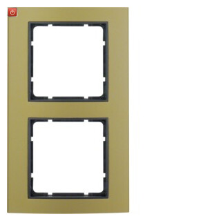 BER10123016 / Rahmen 2fach B.3 Alu gold/anthrazit / EAN 4011334384908
