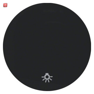 BER16202035 / Wippe mit Aufdr Symbol Licht R.1/R.3 sw / EAN 4011334366348