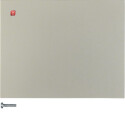 BER85141173 / Taste 1fach K.5 edelstahl lackiert / EAN...