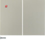 BER85142173 / Taste 2fach K.5 edelstahl lackiert / EAN 4011334368687