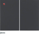 BER85142175 / Taste 2fach K.1 anthrazit matt / EAN...