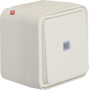 BER31763502 / Kontroll-Wechselschalter AP W.1 pw / EAN 4011334394938