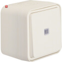 BER50763502 / Taster Wechsler beleuchtet AP W.1 pw / EAN...