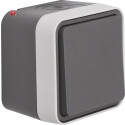 BER30763505 / Wechselschalter AP W.1 grau / EAN...