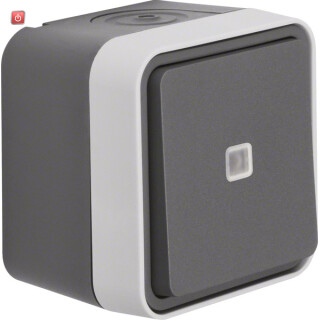 BER31763505 / Kontroll-Wechselschalter AP W.1 grau / EAN 4011334394945