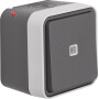 BER31763505 / Kontroll-Wechselschalter AP W.1 grau / EAN 4011334394945