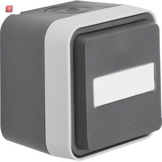 BER47413515 / Steckdose SCHUKO m KD u BF AP W.1 grau / EAN 4011334404330