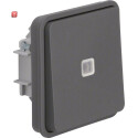 BER50463525 / Taster-Einsatz m Wippe bel Wechsl W.1 gr /...
