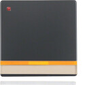 BER16286086 / Wippe m 2 Linsen u Beschrift.Q.1/Q.3 ant /...
