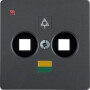 BER14031606 / Zentralplatte f Doppel-Potenziala.Std an / EAN 4011334228066