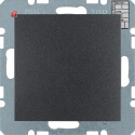 BER75441285 / Objekt-RTR m Ta-Sst IB B.1 anth matt / EAN...
