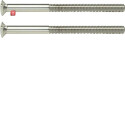 BER189513 / System TS Zwei Loch Schraube mit Linse / EAN...
