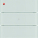 BER75163090 / Tastsensor 3f B.IQ Glas pw / EAN 4011334380863