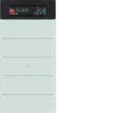 BER75665590 / Tastsensor 5f m Te.reg Disp B.IQ Glas pw /...
