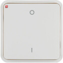 BER30423542 / Wippe 1f f. W.1 Taster-BA,bedr 0/1,pw / EAN...