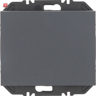 BER24117106 / EnOcean Modul m. Wippe 1f, K.1 anthr. / EAN 4011334525783
