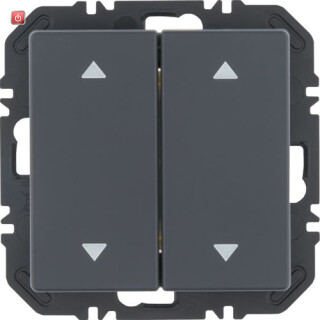 BER24126286 / EnOcean Modul Wippe 2f, Aufdr Q.x anthr. / EAN 4011334525943