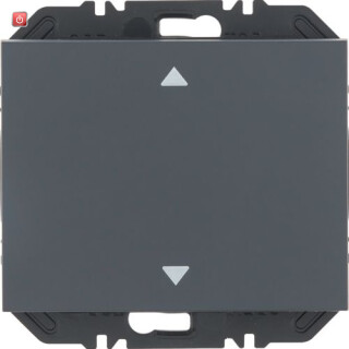 BER24117206 / EnOcean Modul Wippe 1f, Aufdr K.1 anthr. / EAN 4011334525820