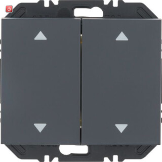 BER24127206 / EnOcean Modul Wippe 2f, Aufdr. K.1 anthr / EAN 4011334526056
