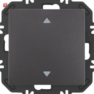 BER24118206 / EnOcean Modul Wippe 1f, Aufdr B.x anthr. / EAN 4011334525875