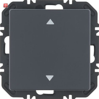 BER24116286 / EnOcean Modul Wippe 1f, Aufdr Q.x anthr. / EAN 4011334525745