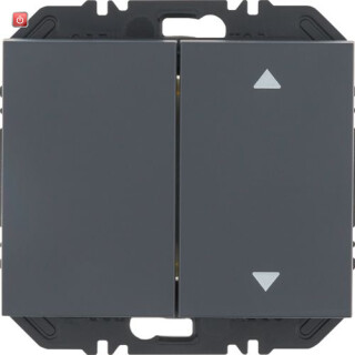 BER24127306 / EnOcean Modul Wippe 2f eins Aufdr K.1 an / EAN 4011334526094