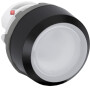 ABB1SFA611100R1105 / MP1-11W Leuchtdrucktaster-Vorsatz weiss, flach-tastend, Frontring / EAN 7320500261095