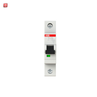 ABB2CDS251001R0634 / Sicherungsautomat C-Char., 6kA, 63A, 1-polig / EAN 4016779551014
