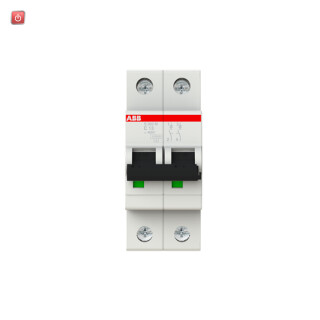 ABB2CDS272001R0134 / S202M-C13 Sicherungsautomat C-Char., 10 kA, 13 A, 2P / EAN 4016779550291