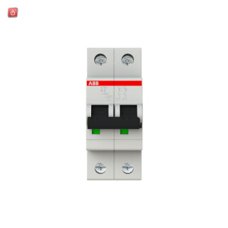 ABB2CDS252001R0065 / Sicherungsautomat B-Char.,6kA,6A, 2-polig / EAN 4016779466400