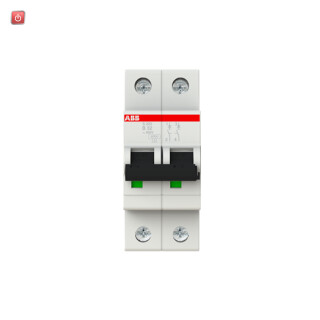 ABB2CDS252001R0325 / Sicherungsautomat B-Char.,6kA,32A, 2-polig / EAN 4016779467209
