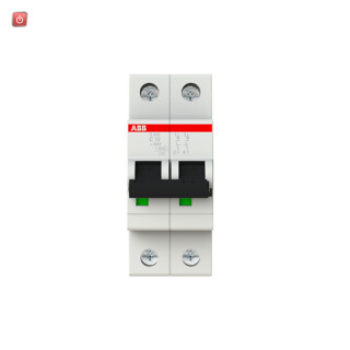 ABB2CDS252001R0104 / Sicherungsautomat C-Char.,6kA,10A, 2-polig / EAN 4016779465700