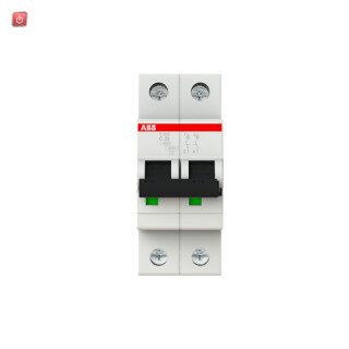 ABB2CDS252001R0254 / Sicherungsautomat C-Char.,6kA,25A, 2-polig / EAN 4016779466103