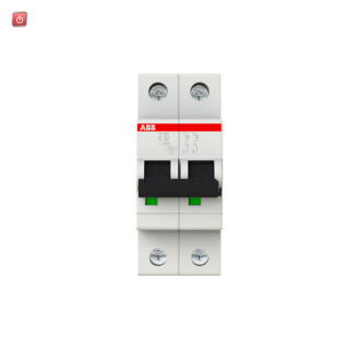 ABB2CDS252001R0324 / Sicherungsautomat C-Char.,6kA,32A, 2-polig / EAN 4016779466202