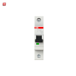 ABB2CDS271001R0634 / Sicherungsautomat C-Char., 10kA, 63A, 1-polig / EAN 4016779543941